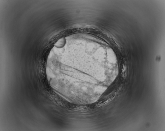 X0000099980966200806201422