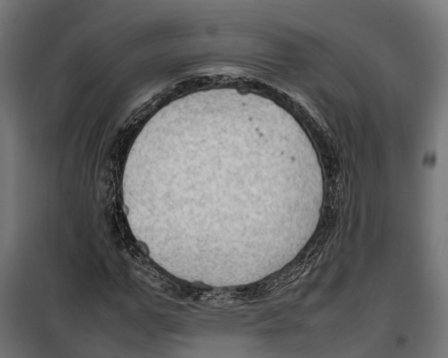 X0000099980967200806201422