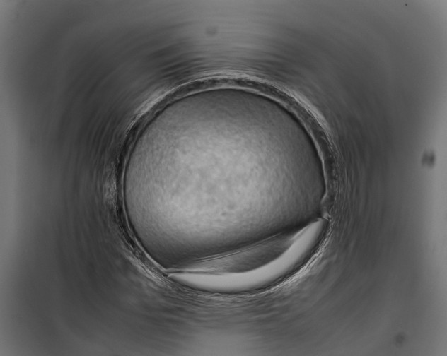 X0000099980969200806201422