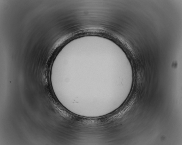 X0000099980970200806201422