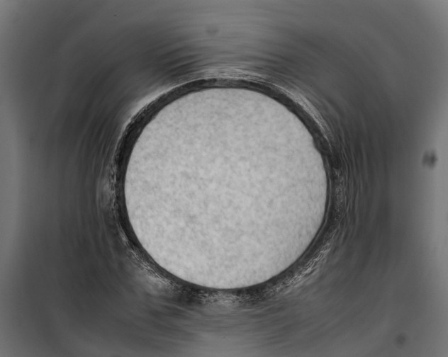 X0000099980971200806201422