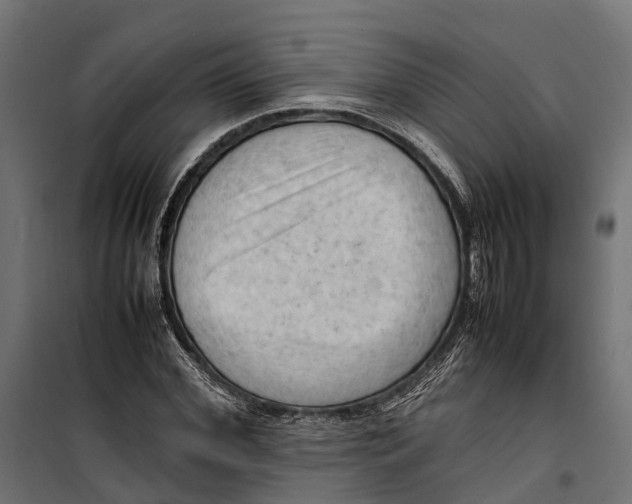 X0000099980972200806201422