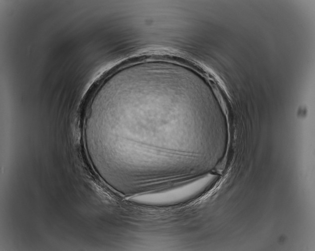 X0000099980973200806201422