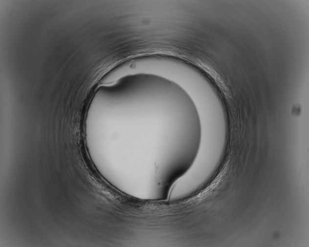 X0000099980977200806201422