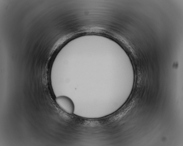 X0000099980978200806201422