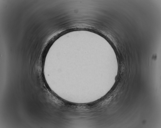 X0000099980979200806201422