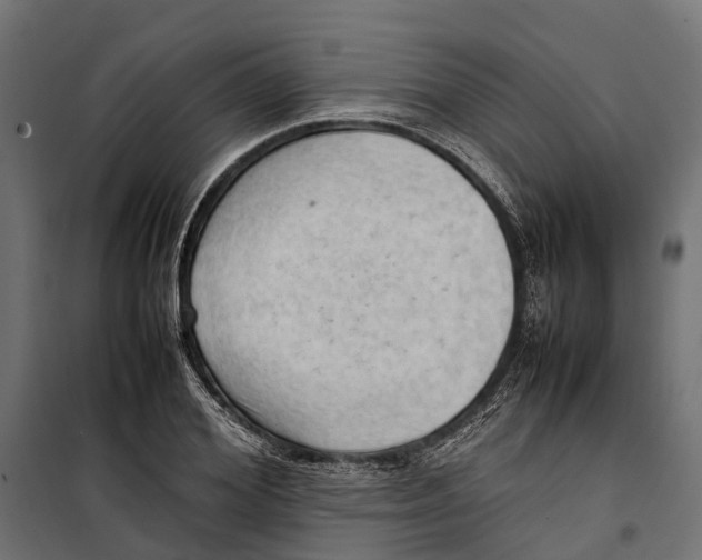 X0000099980980200806201421