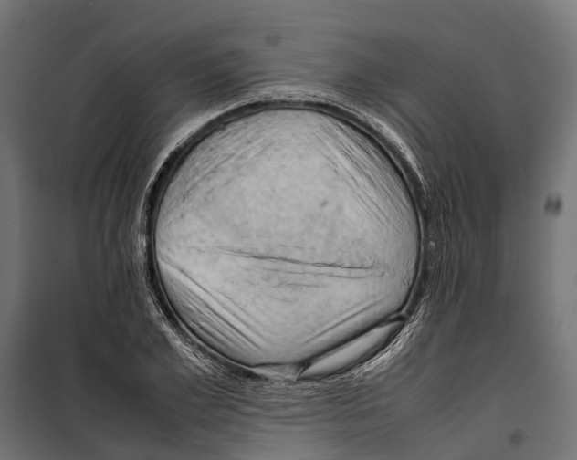 X0000099980981200806201421