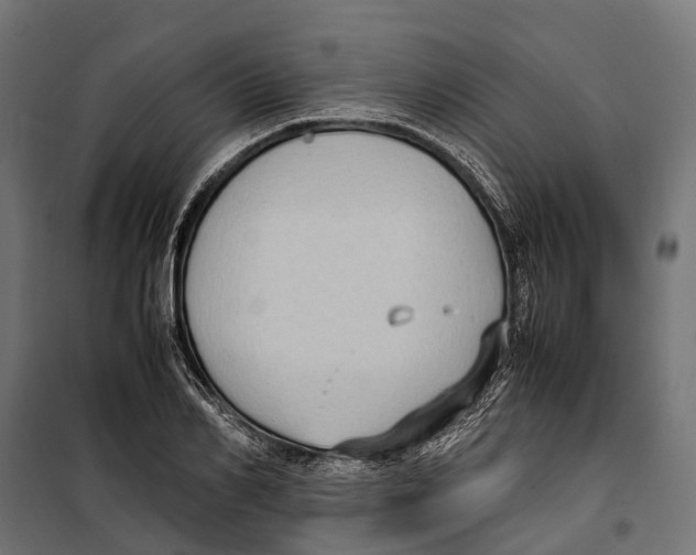 X0000099980982200806201421