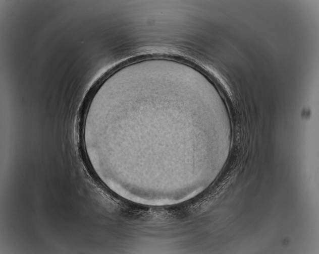 X0000099980983200806201421