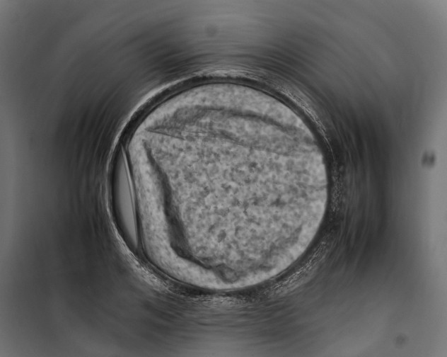 X0000099980984200806201421