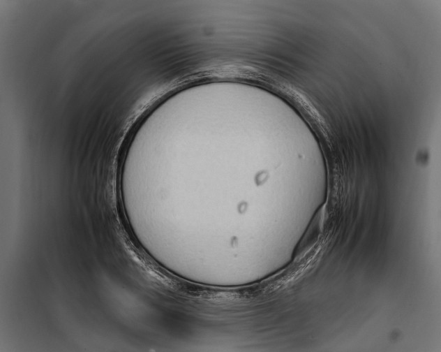 X0000099980986200806201421