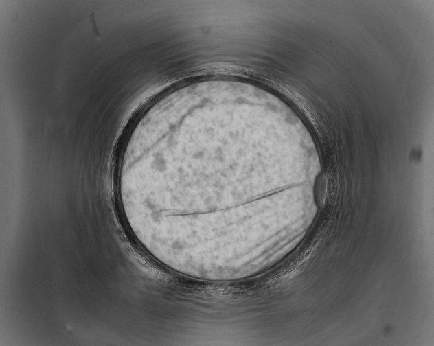 X0000099980987200806201421