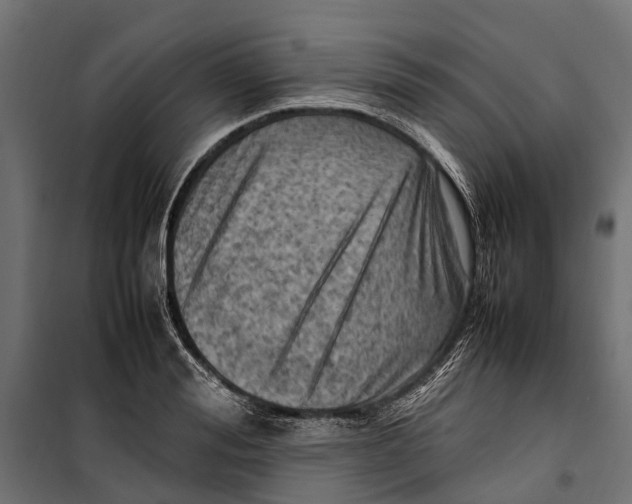 X0000099980988200806201421