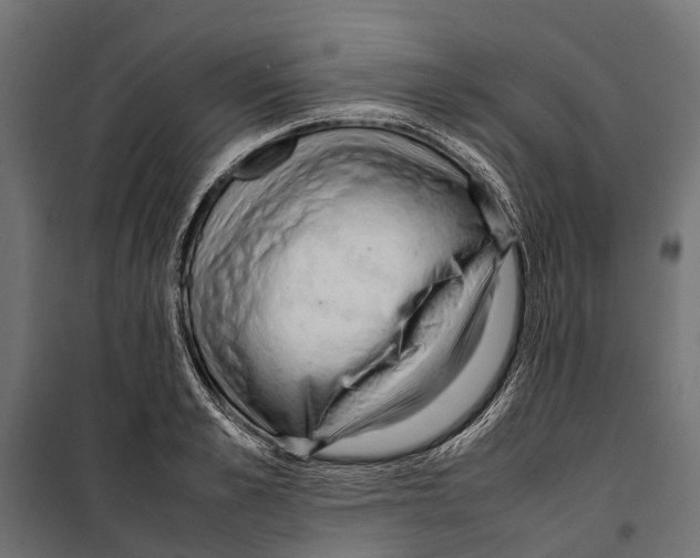 X0000099980989200806201421