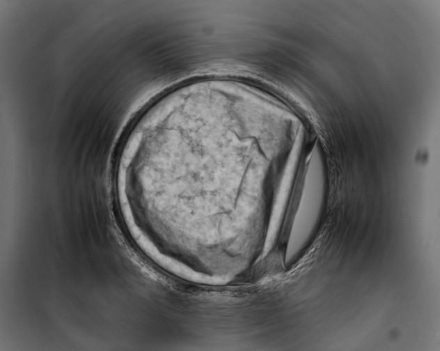 X0000099980990200806201421