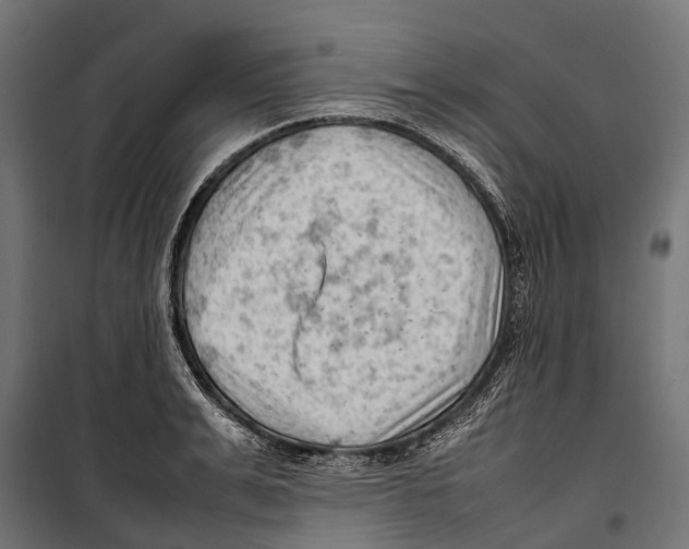 X0000099980991200806201421