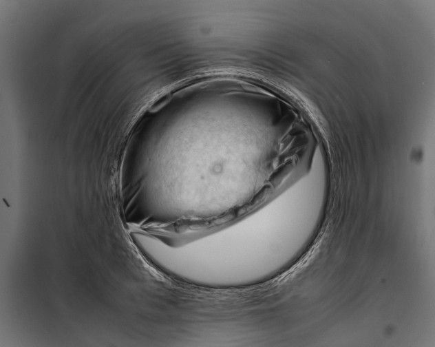 X0000099980993200806201421