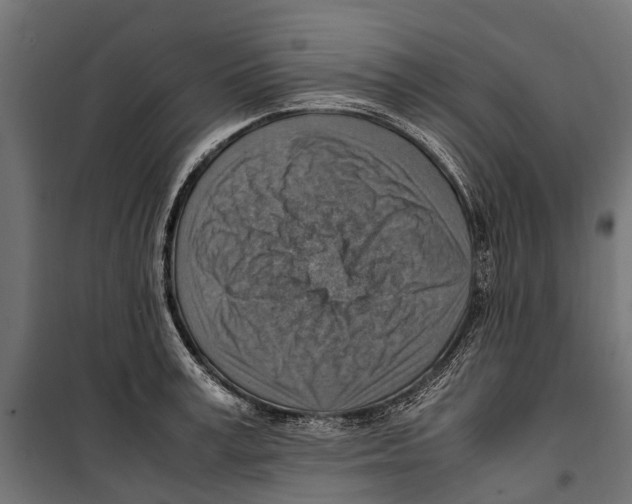 X0000099980995200806201421