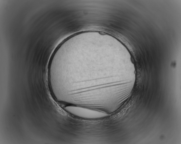 X0000099980996200806201421