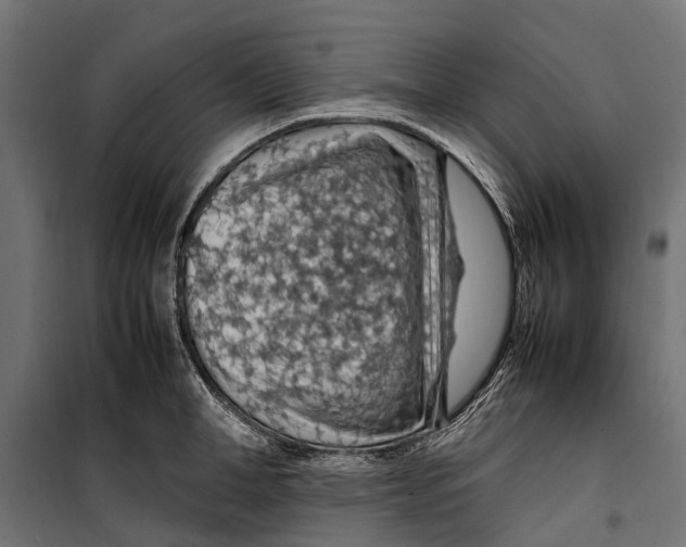 X0000099980998200806201421