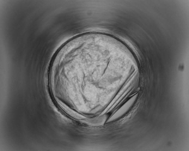 X0000099980999200806201421