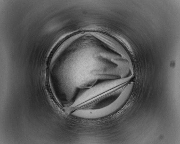 X0000099981000200806201421