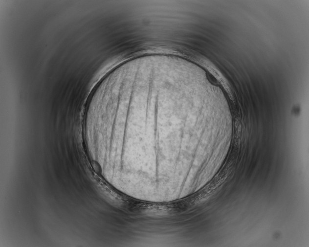 X0000099981002200806201421