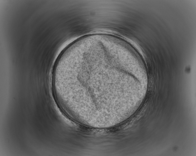 X0000099981003200806201421