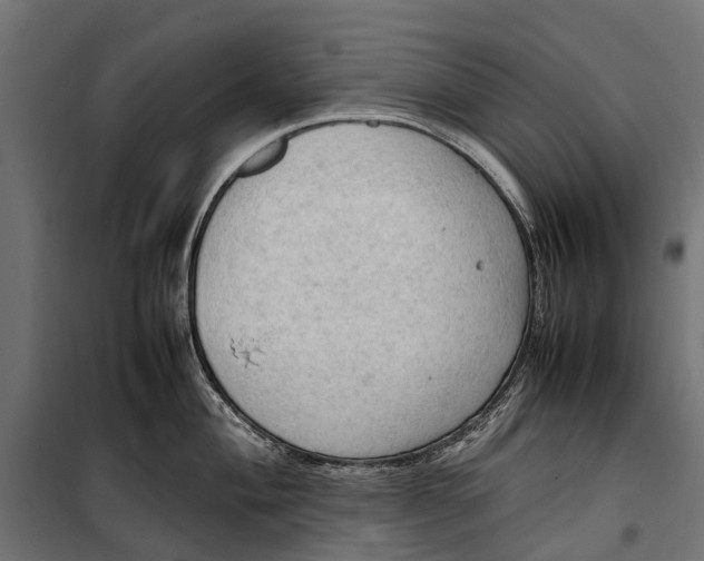 X0000099981004200806201421