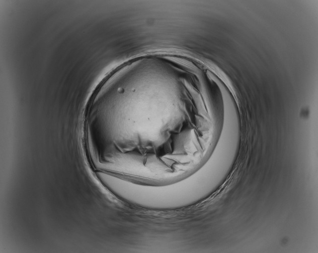 X0000099981005200806201421