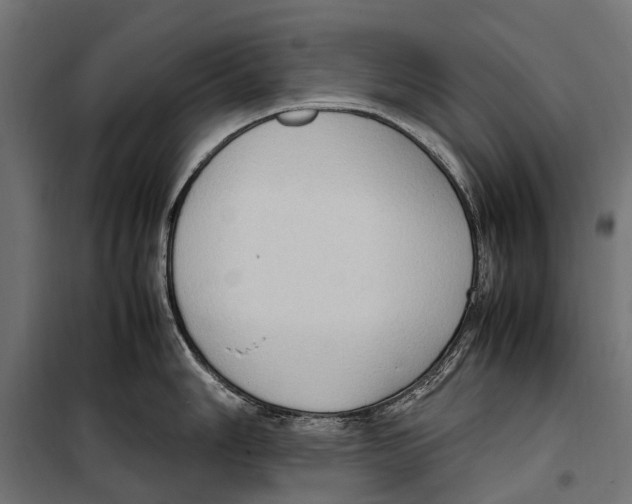 X0000099981006200806201421