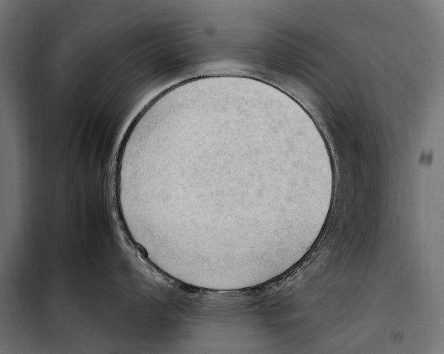 X0000099981008200806201421