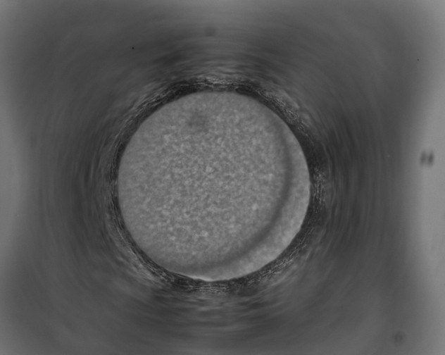 X0000099981009200806201420