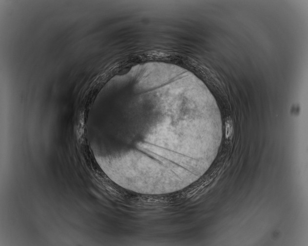 X0000099981011200806201420