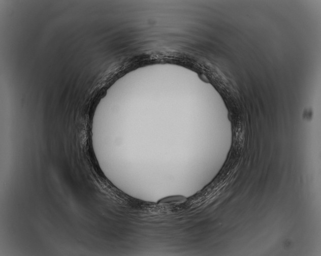 X0000099981012200806201420