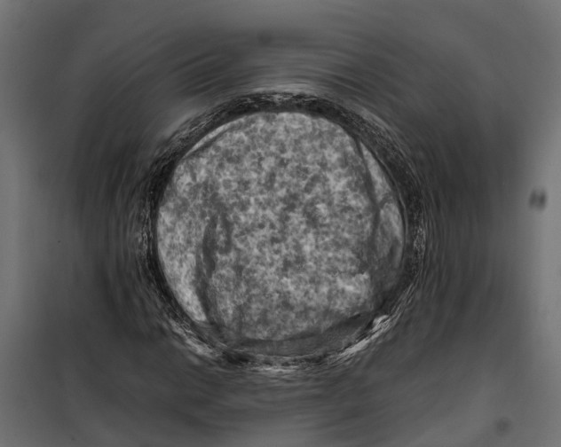 X0000099981014200806201420