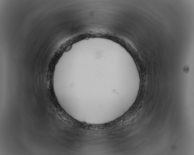 X0000099981016200806201421