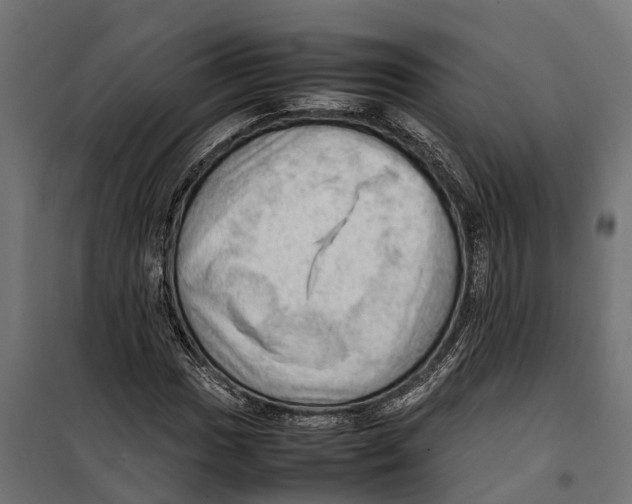 X0000099981017200806201421