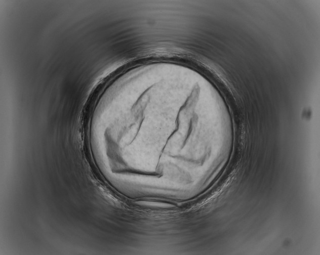 X0000099981018200806201421