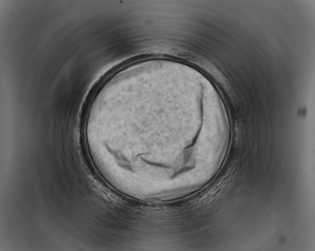 X0000099981020200806201421