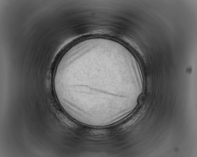 X0000099981021200806201421