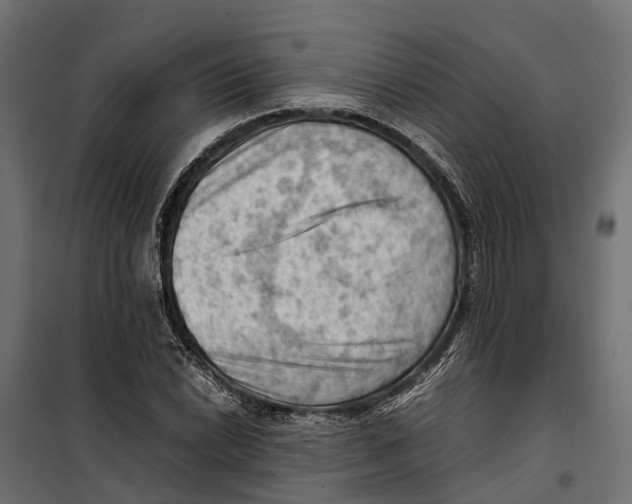 X0000099981022200806201421