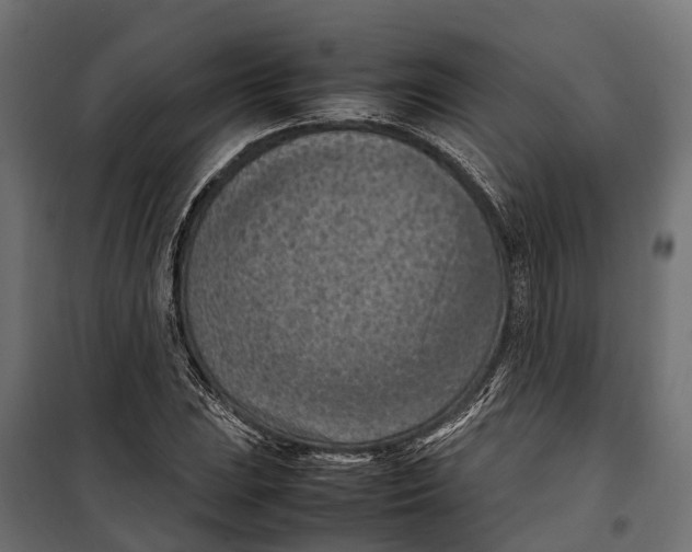 X0000099981023200806201421