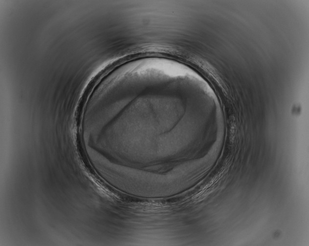 X0000099981024200806201421