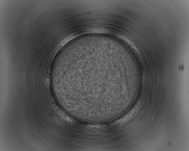 X0000099981025200806201421