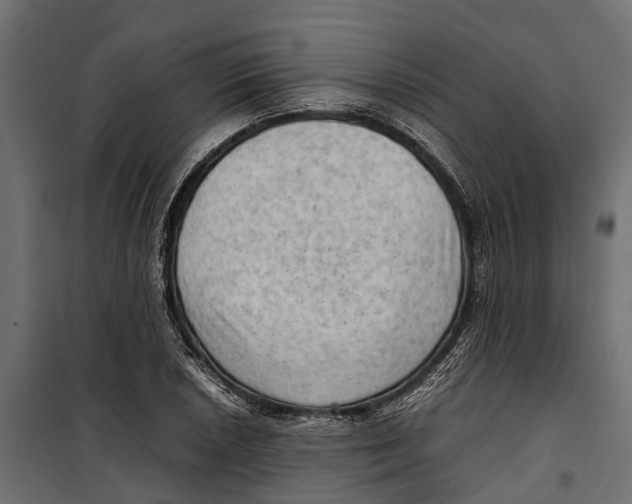 X0000099981026200806201421