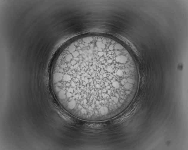 X0000099981027200806201421