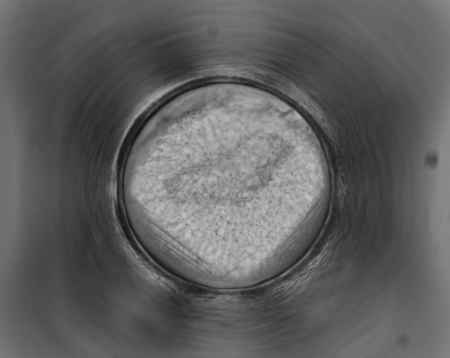 X0000099981028200806201421