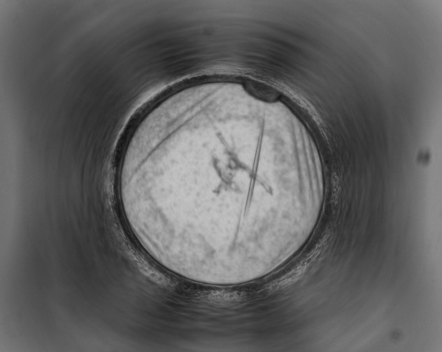 X0000099981029200806201421